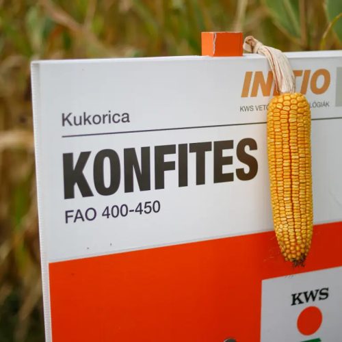 KWS KONFITES kukorica vetőmag (50 000 szem / zsák)
