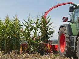 Fitohorm Turbo Cink (20 liter)