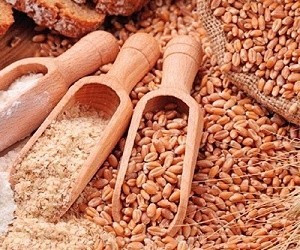 Fitohorm Bio Gabona (20 liter)