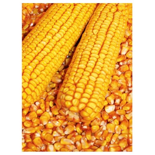 Fitohorm Kukorica Plusz Lombtrágya (20 liter)