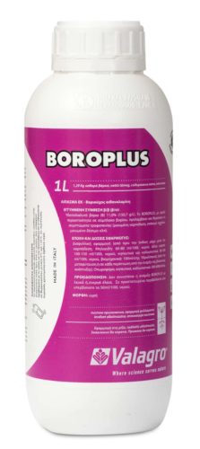 Boroplus - 1 liter