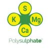 Potash Plus K 37 (kálium és kén tartalmú granulált műtrágya)
