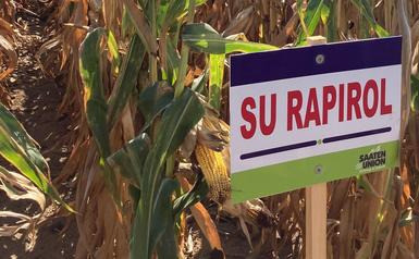 SU RAPIROL