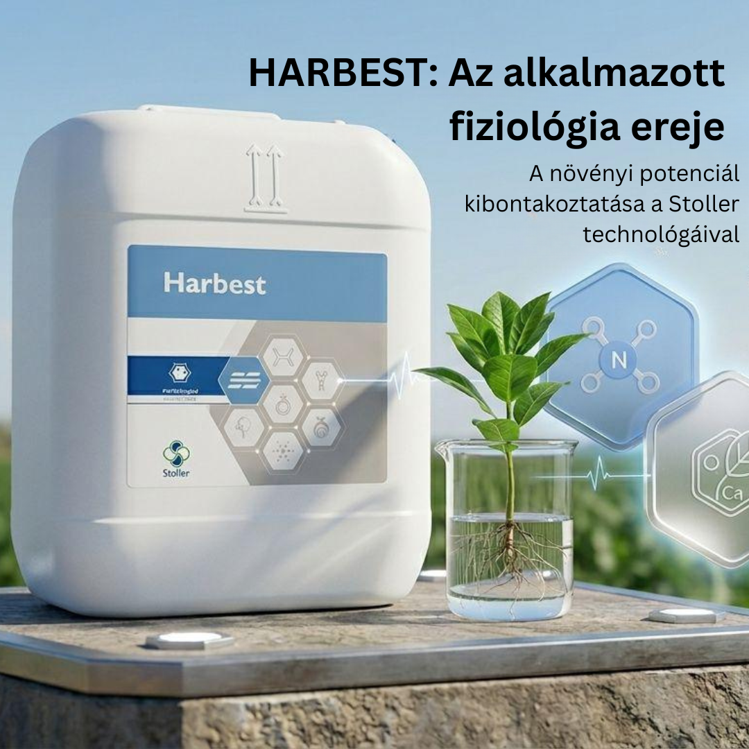 Harbest® – a biostimulátor, amely a növény energiáját terméssé alakítja